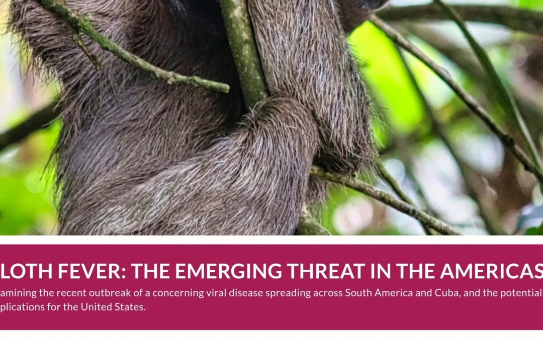 Sloth Fever: The Sluggish Pandemic That’s Picking Up Speed